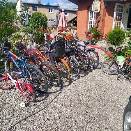 Cosmos & Champion Iława