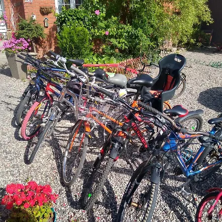 Panzió Cosmos & Champion