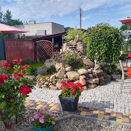 Cosmos & Champion Iława