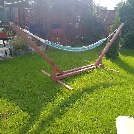 Cosmos & Champion Iława