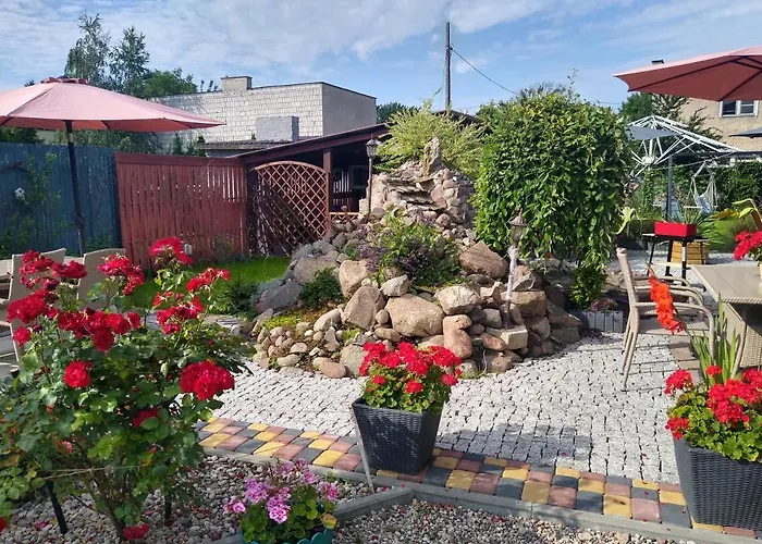 Cosmos & Champion Илава