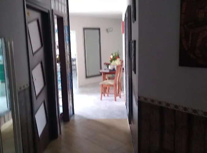 Cosmos & Champion Отель типа 