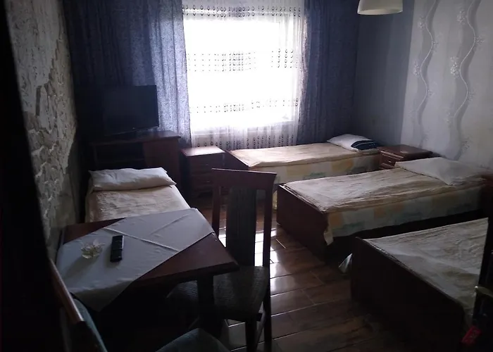 Cosmos & Champion Отель типа 