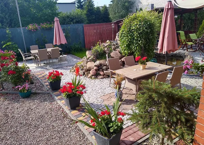 Cosmos & Champion Илава