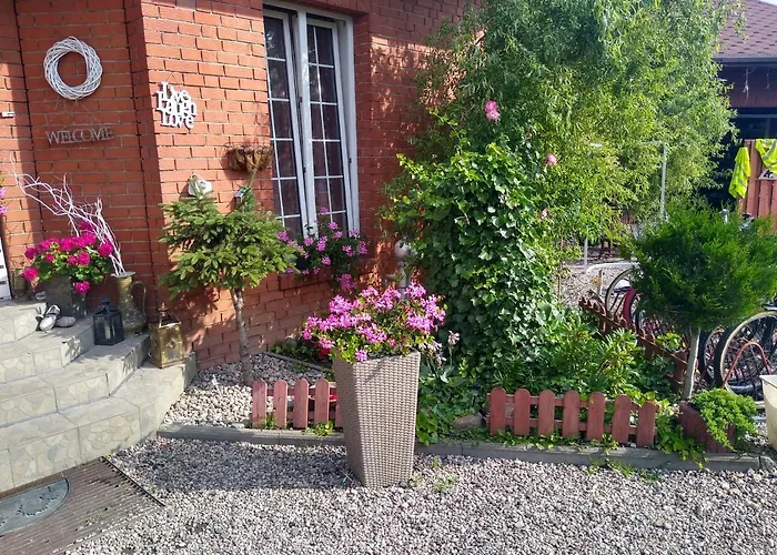 Cosmos & Champion Илава